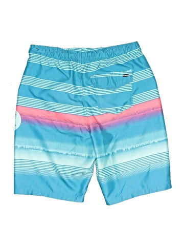 Hurley Board Shorts (view 2)