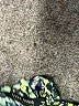 Zara Basic Print Green Casual Dress Size S - photo 8