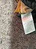 Everlane Brown Jeans Size 12 - photo 8