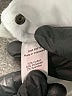 Coldwater Creek Ivory Jeans Size 10 (petite) - photo 8