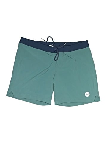 Roxy Board Shorts (view 1)
