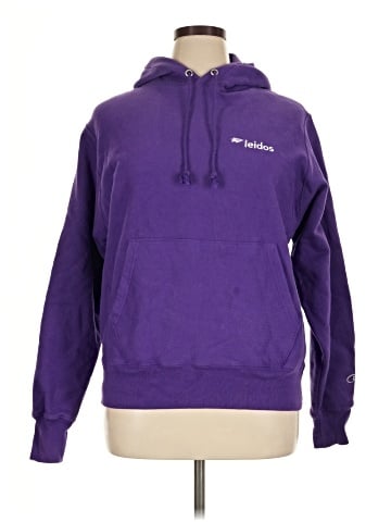 Champion Pullover Hoodie (view 1)