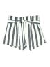 Olivaceous Stripes Gray Shorts Size M - photo 1