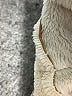 St. John's Bay Tan Jacket Size L - photo 7