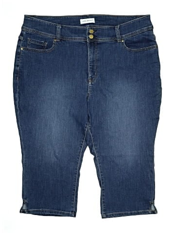 Lane Bryant Denim Shorts (view 1)
