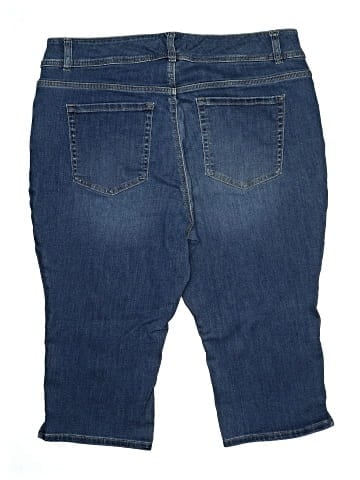 Lane Bryant Denim Shorts (view 2)
