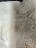 Original Nicole Miller 100% Polyester Ivory Vest Size L - photo 6