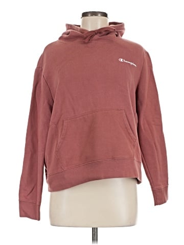 Champion Sweatshirt (view 1)