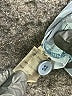 Exclusive for Intermix 100% Silk Animal Print Blue Shorts Size 6 - photo 4