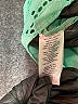 Nanette Lepore 100% Polyester Teal Cocktail Dress Size 0 - photo 8