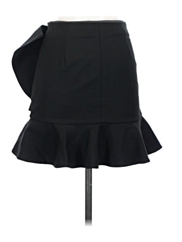 Zara Formal Skirt (view 2)