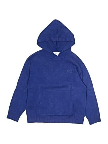 Zara Pullover Hoodie (view 1)