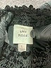 Knox Rose Black Long Sleeve Blouse Size L - photo 7