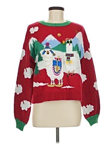 Hooked Up Pullover Sweater (view 1)