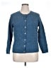Appleseeds 100% Wool Blue Wool Cardigan Size XL (petite) - photo 1