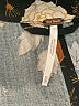 Free People 100% Rayon Black Long Sleeve Blouse Size XS - photo 7