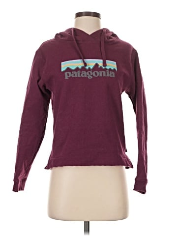Patagonia Pullover Hoodie (view 1)