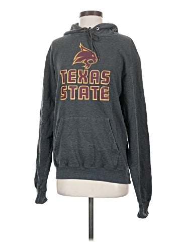 Champion Sweatshirt (view 1)
