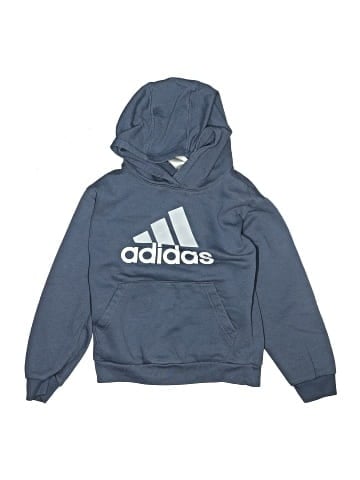 Adidas Pullover Hoodie (view 1)