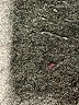 Worthington 100% Polyester Brown Casual Pants Size M - photo 8