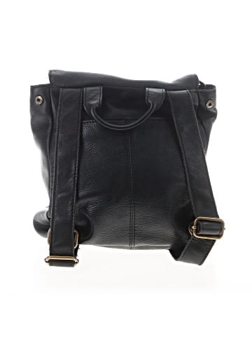 American Backpack (view 2)
