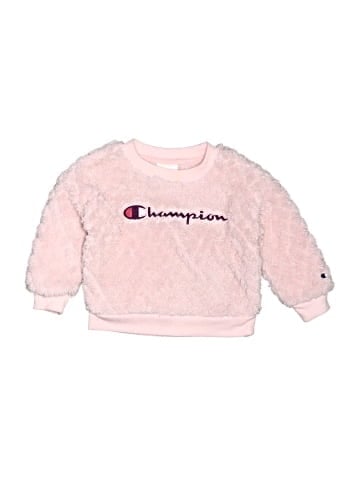 Champion Sweatshirt (view 1)