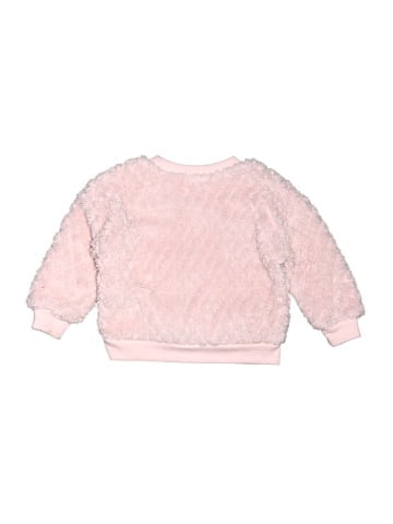 Champion Sweatshirt (view 2)
