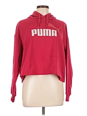 Puma Pullover Hoodie (view 1)