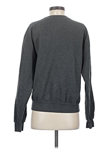 Champion Sweatshirt (view 2)