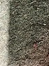Madewell Black Jeans Size 29 waist - photo 8
