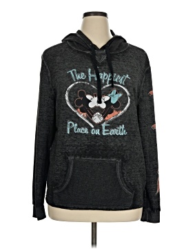 Disney Parks Pullover Hoodie