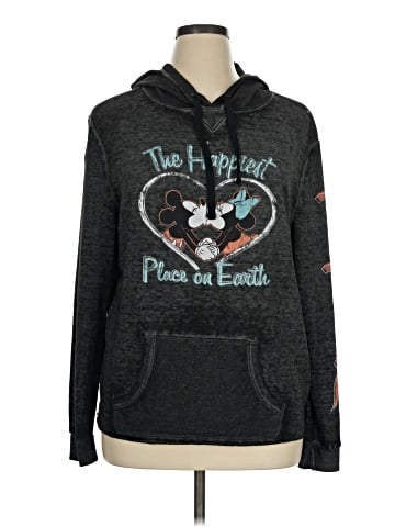 Disney Parks Pullover Hoodie (view 1)