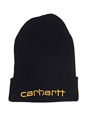 Carhartt Beanie (view 1)