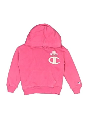 Champion Pullover Hoodie (view 1)