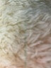 Unbranded Solid Ivory Jacket Size XXL (estimated) - photo 6