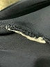 Gap Fit Blue Dress Pants Size L - photo 8
