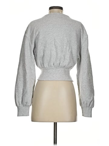 Express Sweatshirt (view 2)