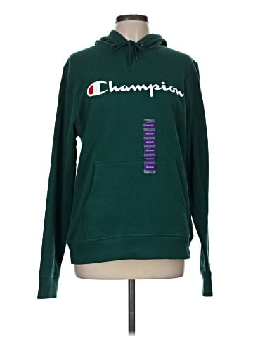 Champion Pullover Hoodie (view 1)