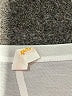 lucy Ivory Short Sleeve T-Shirt Size XS - photo 7