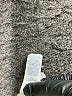 Jerzees Gray Sweatshirt Size L - photo 8
