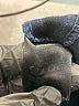 Nic + Zoe Blue Jeans Size 14 - photo 5