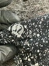 Lululemon Athletica Stars Black Skort Size 4 - photo 3