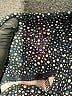 Evolution and Creation Polka Dots Blue Shorts Size S - photo 3