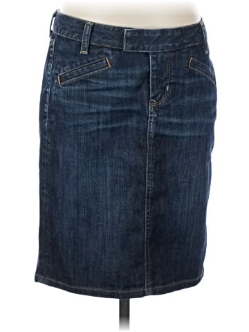 Limited Edition Denim Skirt (view 1)
