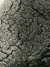 Zara Black Faux Fur Jacket Size XS - photo 7