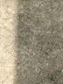 Ann Taylor LOFT Blue Casual Pants Size 4 - photo 8