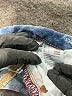 American Eagle Outfitters Graphic Blue Jeans Size 8 - photo 8
