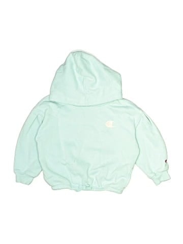 Champion Pullover Hoodie (view 1)