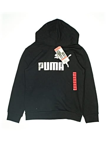 Puma Pullover Hoodie (view 1)