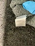 Purejill 100% Cotton Gray Coat Size XS - photo 7